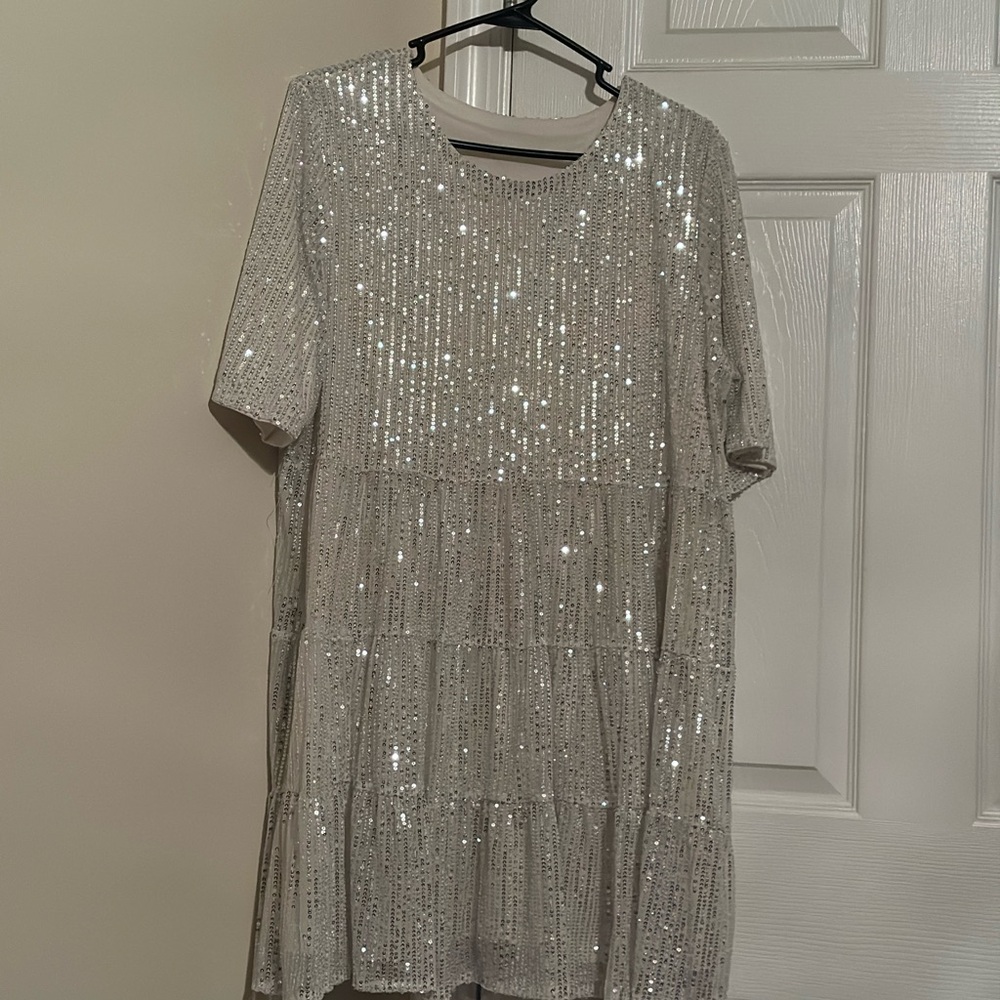 Sparkling Silver Sequin Dress